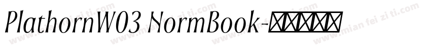 PlathornW03 NormBook字体转换